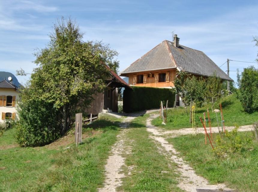 chemin
